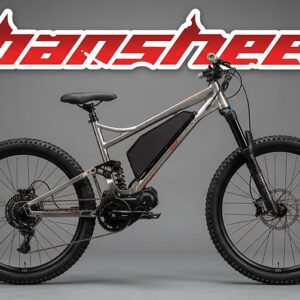 RIF Banshee (2000W)